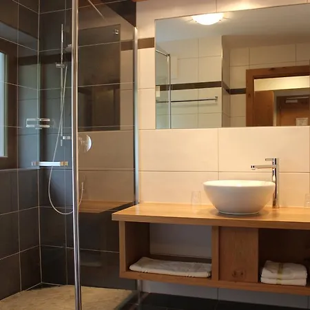 بنسيون ميشيل فندق مبيت وإفطار سالباخ هينترغليم