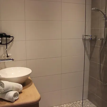 بنسيون ميشيل 4* سالباخ هينترغليم